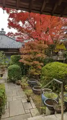 覚円院(京都府)