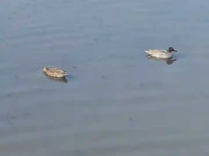 浮島辨財天(群馬県)