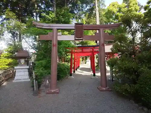 亀ケ池八幡宮の鳥居