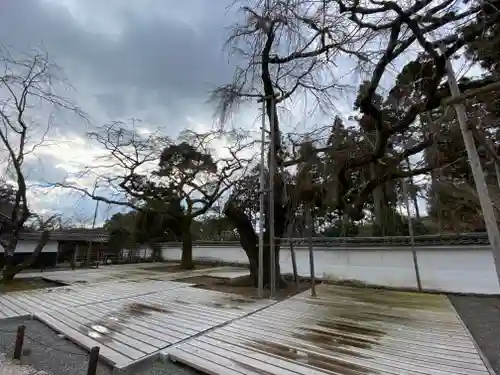 醍醐寺（上醍醐）(京都府)