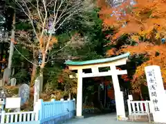 富士山東口本宮 冨士浅間神社の鳥居