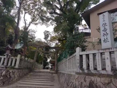 亀之森住吉神社の鳥居