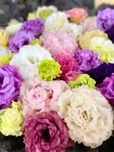 伊達神社の手水舎