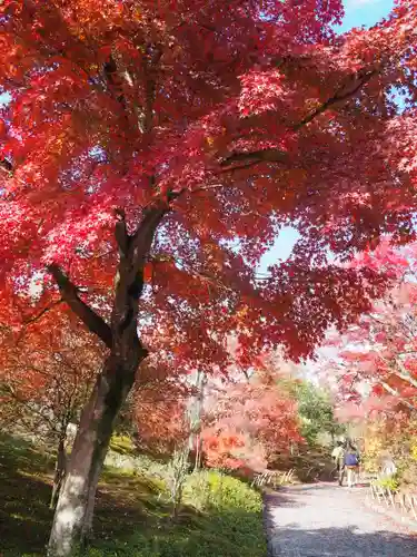 天龍寺(京都府)