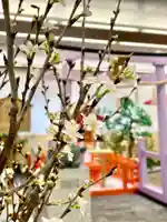 メノコト神社(京都府)