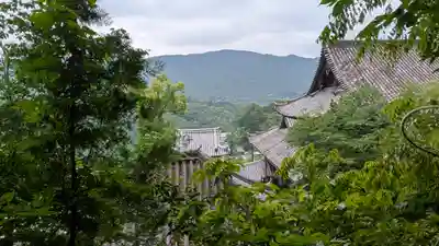 長谷寺(奈良県)