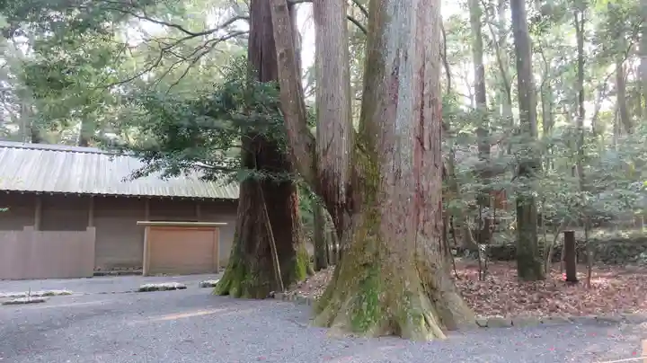 伊勢神宮内宮(皇大神宮)の自然