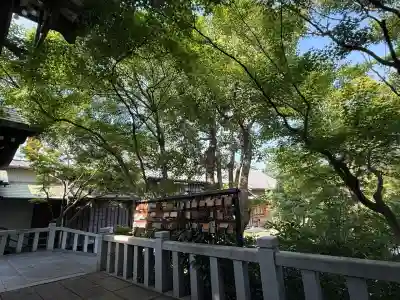 泉増院(愛知県)