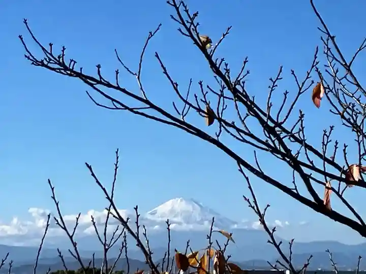 片瀬諏訪神社(神奈川県)