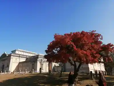 興福寺 南円堂の周辺