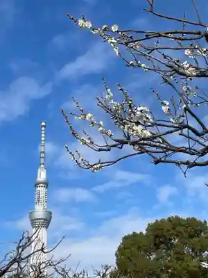 亀戸天神社(東京都)