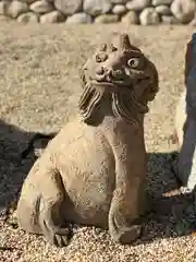 錦織神社の狛犬