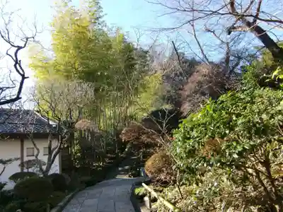 報国寺(神奈川県)
