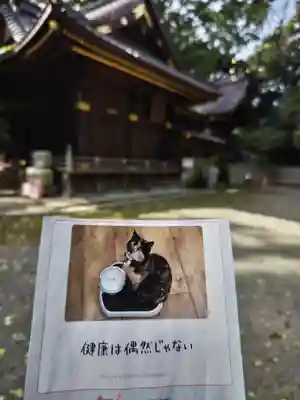 玉敷神社(埼玉県)