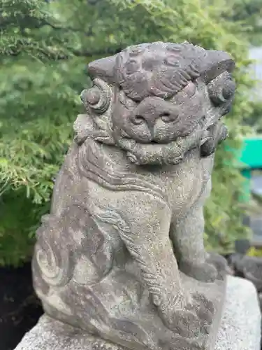 鶴見神社の狛犬