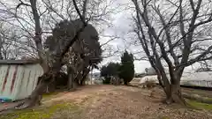 齋宮神社(奈良県)