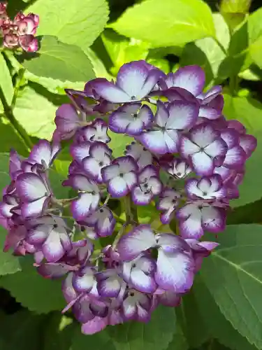 市杵島神社（高萩八幡宮境内社）(茨城県)