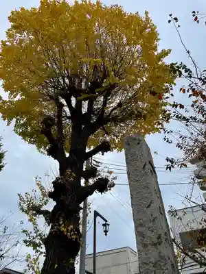 平塚神社(東京都)