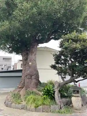 観音寺(東京都)