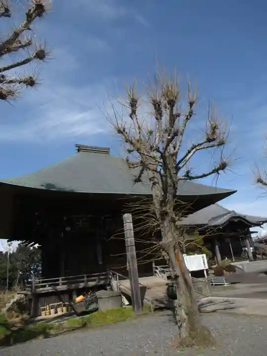 新長谷寺(八町観音)のその他建物