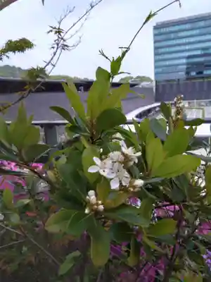 アミュプラザくまもと加藤神社の自然