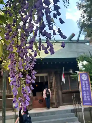 國領神社(東京都)