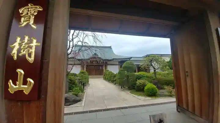 常在寺の山門・神門