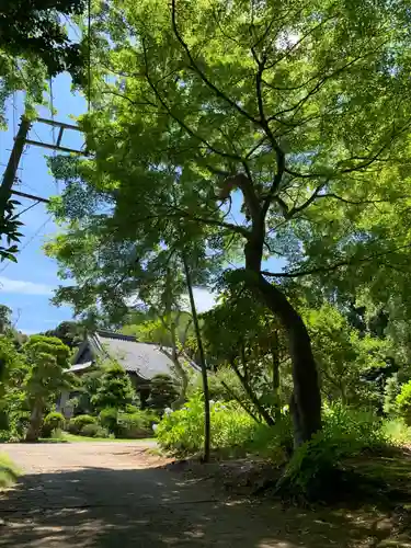 三宝院(千葉県)