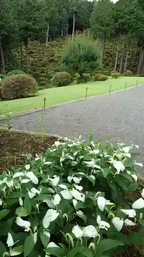  七国山薬王寺の庭園