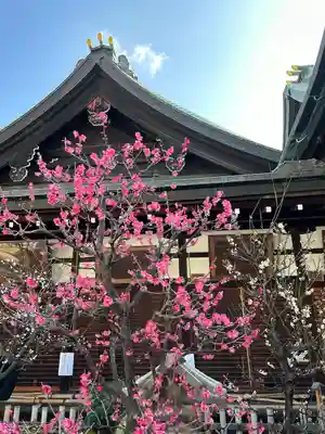 大阪天満宮(大阪府)