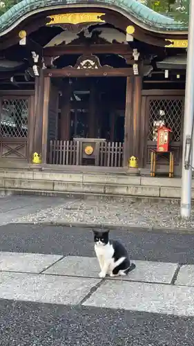 白金氷川神社の本殿・本堂