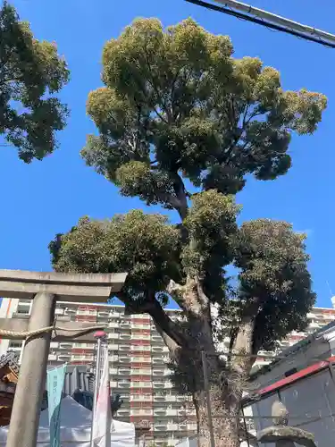 八幡神社(大阪府)