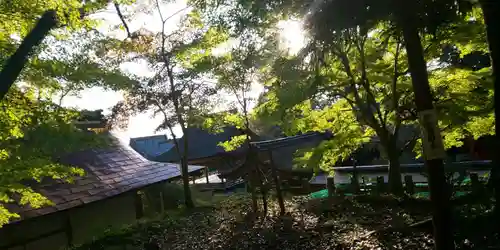 出雲大神宮のその他建物