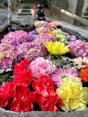 馬場氷川神社(埼玉県)