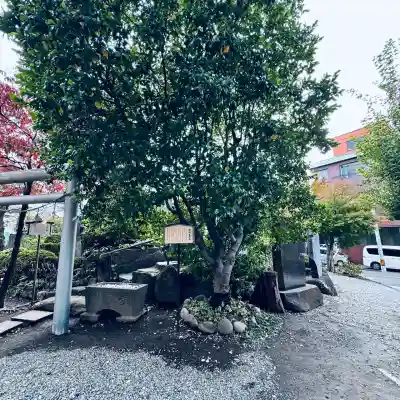 鎮守氷川神社(埼玉県)