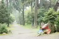 大國主神社の自然