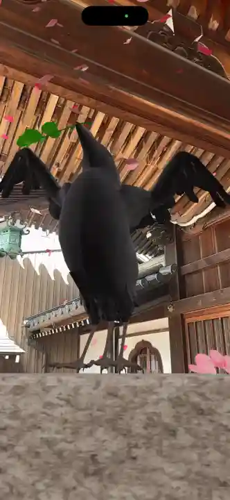 東海市熊野神社の{uncategorized: "未分類", other: "その他", undefined: "問題あり", building: "その他建物", grave: "お墓", sacred_gate: "鳥居", guardian: "狛犬", statue: "像", buddha: "仏像", history: "歴史", nature: "自然", garden: "庭園", animal: "動物", pagoda: "塔", temizu: "手水舎", mountain_gate: "山門・神門", sanctuary: "本殿・本堂", subordinate: "末社・摂社", art: "芸術", scenery: "景色", jizo: "地蔵", ema: "絵馬", goshuin: "御朱印", omikuji: "おみくじ", items: "授与品その他", amulet: "お守り", goshuincho: "御朱印帳", eats: "食事", festival: "お祭り", votive_dance: "神楽", shichigosan: "七五三参", wedding: "結婚式", experience: "体験その他", initially: "初詣", around: "周辺", anti_infection: "感染症対策"}