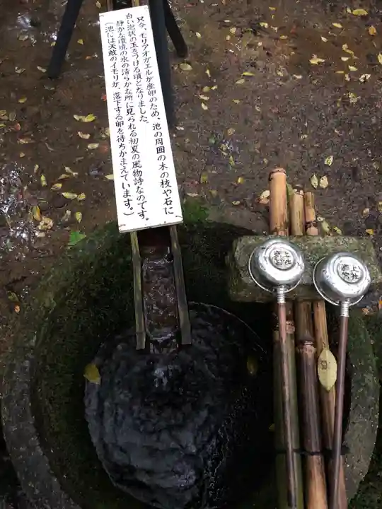 若狭彦神社(上社)の手水舎