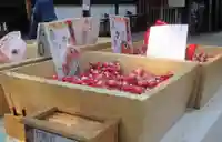 川越氷川神社のおみくじ
