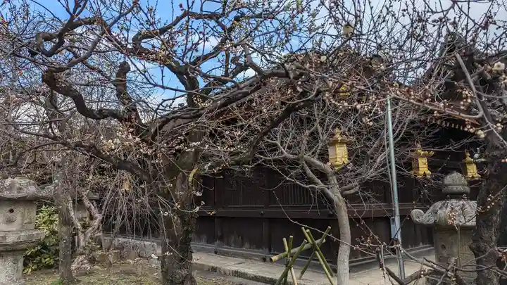 北野天満宮(京都府)