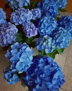 滑川神社 - 仕事と子どもの守り神の自然(2021年06月08日(火) 13時09分03秒投稿)