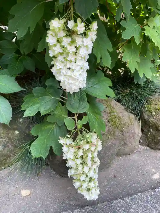 玉林寺(東京都)