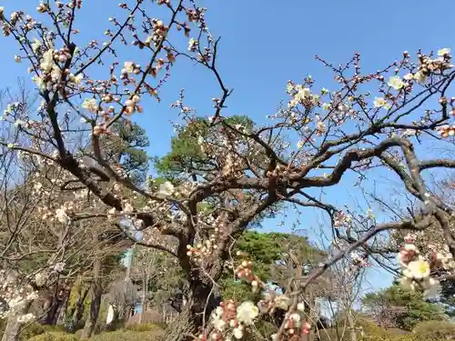 開成山大神宮(福島県)
