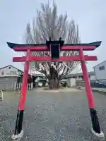 八大龍王辨財天の{uncategorized: "未分類", other: "その他", undefined: "問題あり", building: "その他建物", grave: "お墓", sacred_gate: "鳥居", guardian: "狛犬", statue: "像", buddha: "仏像", history: "歴史", nature: "自然", garden: "庭園", animal: "動物", pagoda: "塔", temizu: "手水舎", mountain_gate: "山門・神門", sanctuary: "本殿・本堂", subordinate: "末社・摂社", art: "芸術", scenery: "景色", jizo: "地蔵", ema: "絵馬", goshuin: "御朱印", omikuji: "おみくじ", items: "授与品その他", amulet: "お守り", goshuincho: "御朱印帳", eats: "食事", festival: "お祭り", votive_dance: "神楽", shichigosan: "七五三参", wedding: "結婚式", experience: "体験その他", initially: "初詣", around: "周辺", anti_infection: "感染症対策"}