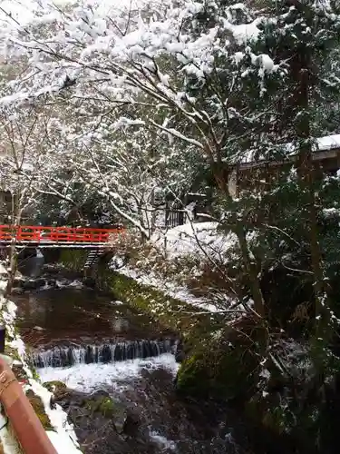 貴船神社の自然