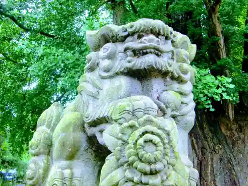 新宮熊野神社の狛犬