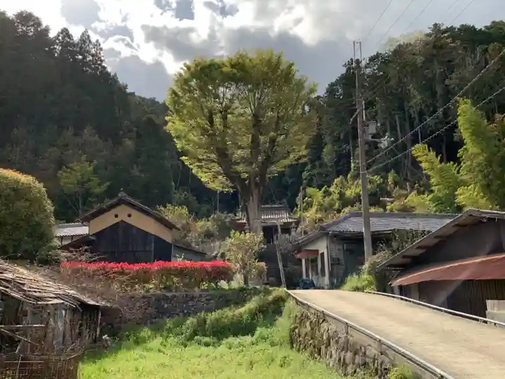 大河内神社の自然