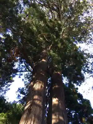 羽梨山神社の自然