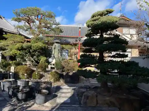金蔵寺(京都府)