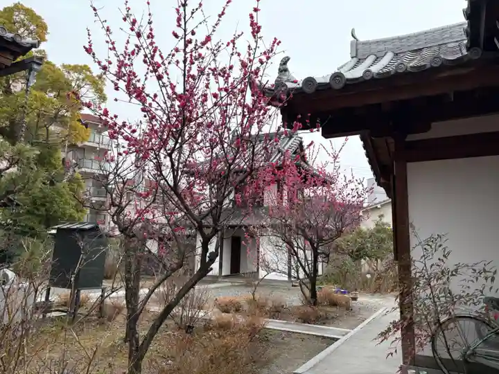 蓮花寺(大阪府)